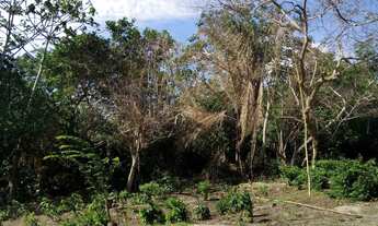 Imagem 5: Terreno no paço do lumiar
