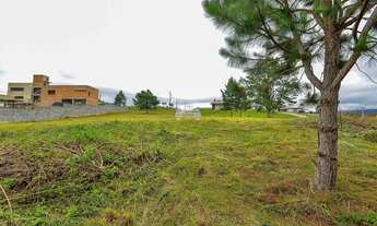 Imagem 6: Vendas Terreno Quatro Barras PR