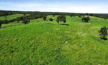 Imagem 6: Fazenda c/ 2.097he e 1.450he formados, 6km da BR, Jangada-MT