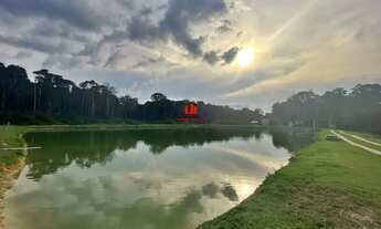 Imagem 3: Fazenda com 128 Hectares disponível pra Venda na Br 174 KM 75