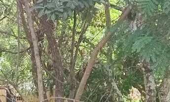 Imagem: Lote a venda no Setor habitacional Jardim