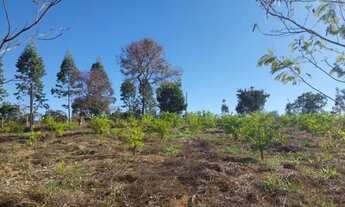 Imagem 6: Sitio Três Marias 40000 mil M²