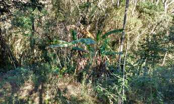 Imagem 6: Chacara para alugar em Extrema MG