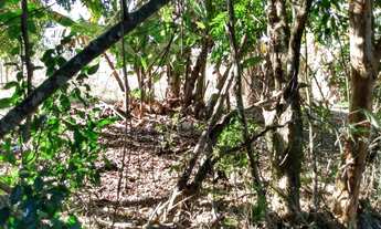 Imagem 4: Chacara para alugar em Extrema MG