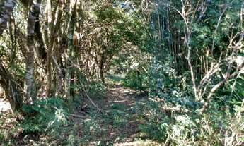 Imagem 2: Chacara para alugar em Extrema MG