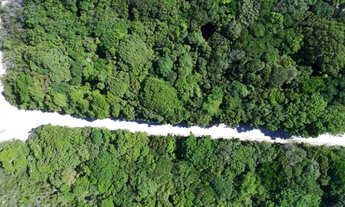 Imagem 4: Chácara Bonfim - 1000m² - Cond. de Alto Padrão