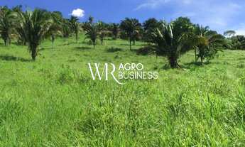 Imagem: Fazenda Niquelândia 207 alqueire