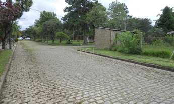 Imagem 2: Porto Alegre - Terreno Padrão - Serraria