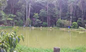 Imagem 3: Siteo lindo 6. Hectares en rio fortuna, Angelina, SC