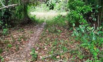Imagem 3: Vendo fazenda em Nazaré das farinha