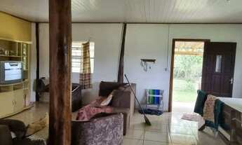 Imagem 4: Excelente sítio 5000m² arborizado, casa 5 dormitórios em Águas Claras