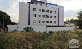 Imagem 6: Casa à Venda - Salgado Filho, 415 m²