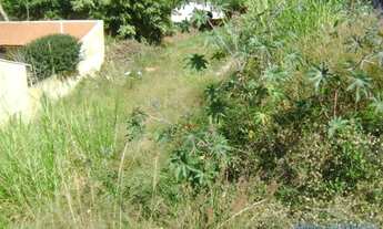 Imagem 2: TERRENO - BOSQUE DOS EUCALIPTOS - SP