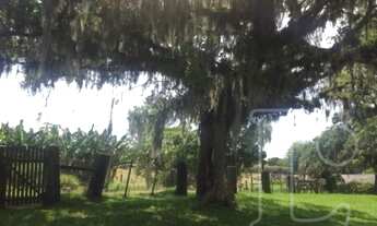 Imagem 5: Sítio em Cocão