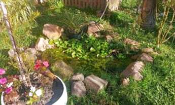 Imagem 5: Venda de terreno com casa