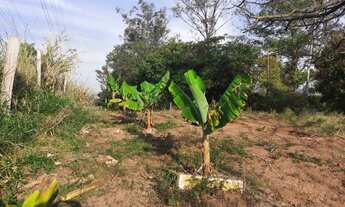 Imagem 5: Chácara em Brigadeiro próximo ao Chico Mendes