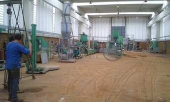 Imagem 16: Galpão - Betel - Paulínia