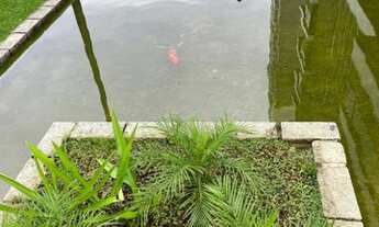 Imagem 2: SALVADOR - Apartamento Padrão - Graça