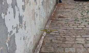 Imagem 5: Casa com 1 dormitório à venda, 205 m² por R$ 1.950.000,00 - Vila Antonieta - São Paulo/SP