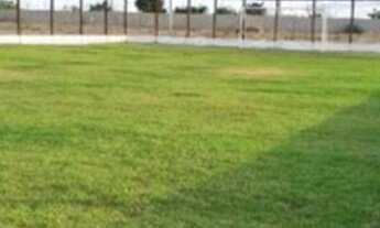 Imagem 3: Vendo ou Troco Terreno 250m2 Villa Premium Nascente