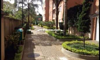 Imagem 3: São Paulo - Apartamento Padrão - PARQUE NOVO MUNDO