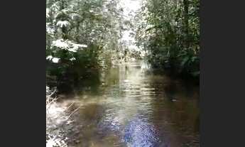 Imagem 3: Sitio em abaetetuba