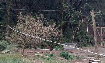 Imagem 5: Vende se pequena chácrinha ou terreno