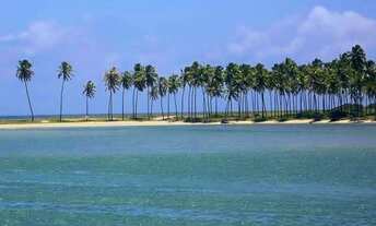 Imagem 3: Terreno gigante Terreno / lote com venda por R$130.000