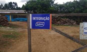 Imagem 5: Granja em Guareí SP