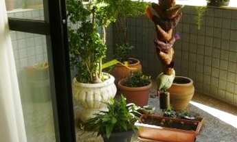 Imagem 3: Apartamento à venda, 4 quartos, 2 suítes, 2 vagas, Buritis - Belo Horizonte/MG