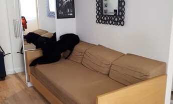 Imagem 2: FLAT - CAMPO BELO - SP