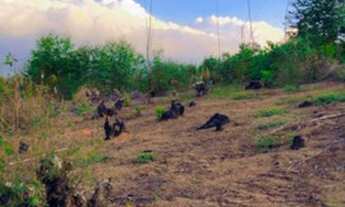 Imagem 7: Venha adquirir seu terreno com acesso a represa!!!