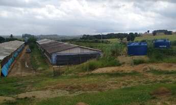 Imagem 3: Granja em Guareí SP