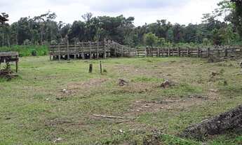 Imagem 7: Vende se uma Fazenda 60 Alq. em Guaraqueçaba e um Sitio em Paranaguá 14 Alq