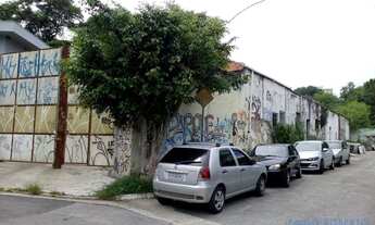 Imagem 3: TERRENO - BUTANTÃ - SP