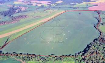 Imagem 3: Fazenda/Sítio/Chácara para venda com 66000 metros quadrados em Zona Rural - Marau - RS