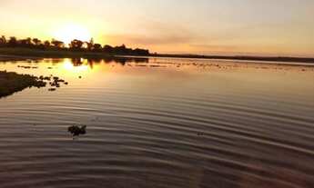 Imagem 3: Terrenos de Chácara em Campinas