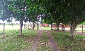 Imagem 4: Sitio em Itapetininga