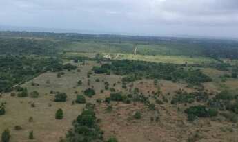 Imagem: Chácara com 2 dormitórios à venda, 20000