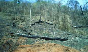 Imagem 7: Vende-se terreno em igarata 1.179m²