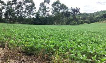 Imagem 4: Sitio catanduvas