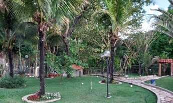 Imagem 4: Chácara Lima - Aparecida de Goiânia