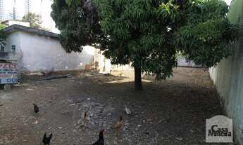 Imagem 4: Casa à Venda - Betânia, 420 m²