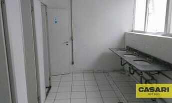 Imagem 4: Galpão para alugar, 1025 m² - Piraporinha - Diadema/SP