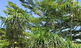 Imagem 5: Venda Sítio Zona Rural Itabirito