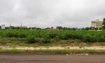 Imagem: Toledo - Lote/Terreno - Vila Industrial