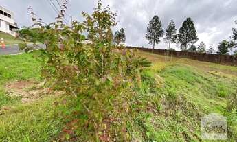 Imagem 6: Casa em condomínio à Venda - Alphaville, 602 m²