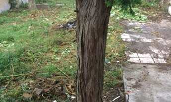 Imagem 7: Curitiba - Terreno Padrão - Pinheirinho