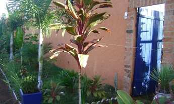 Imagem 2: Chácara à venda, 3 quartos, 1 suíte, 1 vaga, JARDIM CONSERVANI - Artur Nogueira/SP