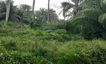 Imagem 4: Vendo Excelente Sitio Pra criar camarão